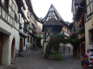 Trouvez votre appartement / maison en Alsace avec ID Immo : Dscn4078